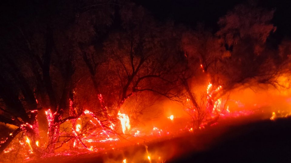 Incendiu de pădure în Munţii Gurghiului, zona Lăpuşna