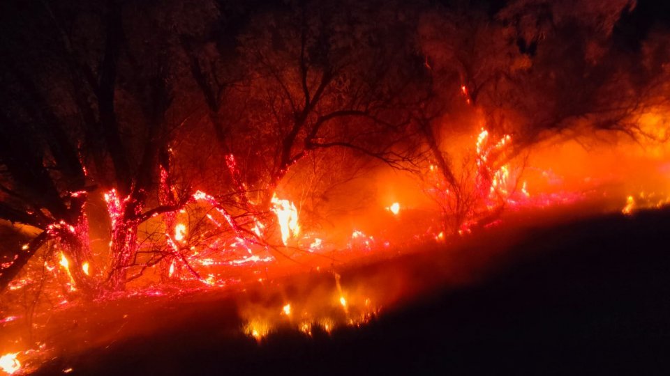 Continuă intervenţia de stingere a incendiului care a cuprins 40 de hectare de pădure în Munţii Gurghiu
