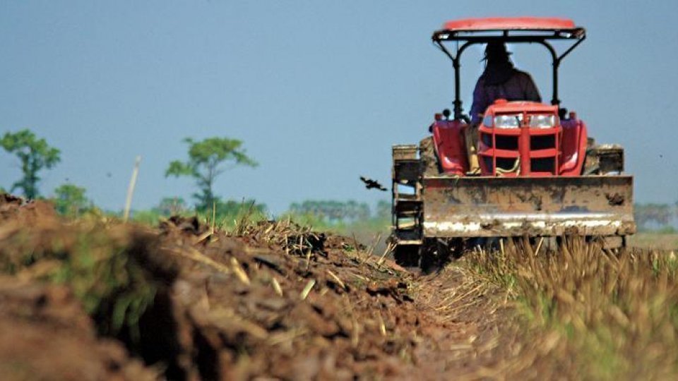 Cultura grâului de toamnă, „afectată de secetă” în mai toată țara