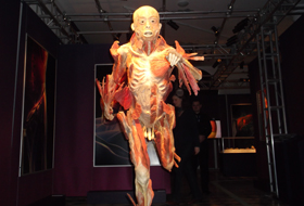 &quot;The Human Body&quot; la Muzeul Antipa.