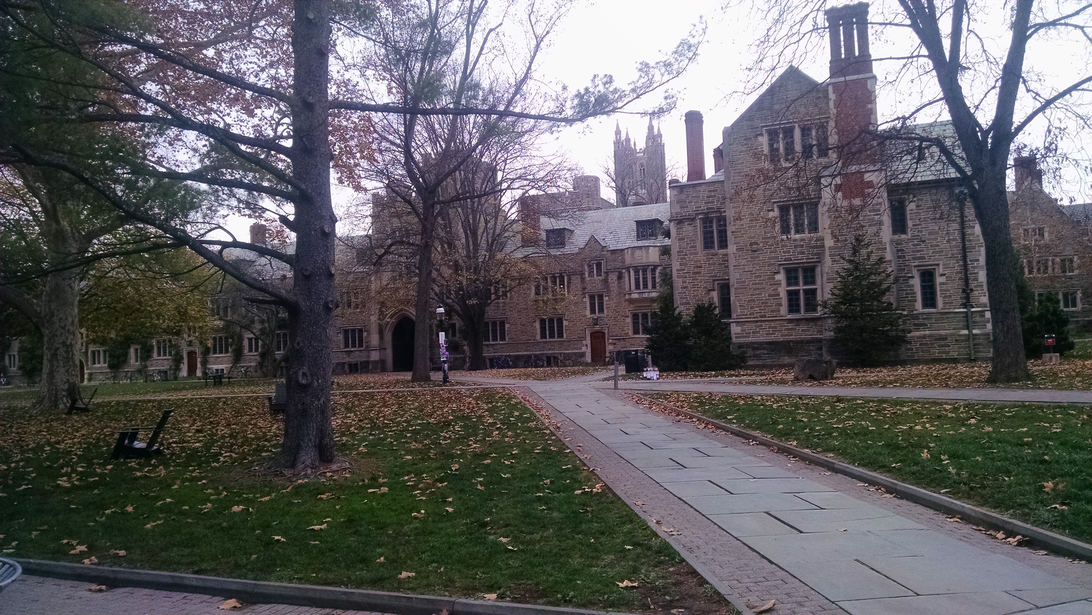 Princeton, noiembrie 2015.