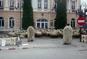 Protest al ciobanilor &icirc;n fața Primăriei Săcele.