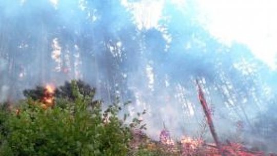 Pompierii se luptă cu incendiul din Parcul Naţional Cozia