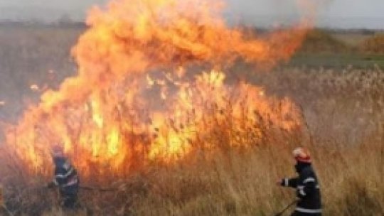 Arderile de vegetaţie uscată, un pericol