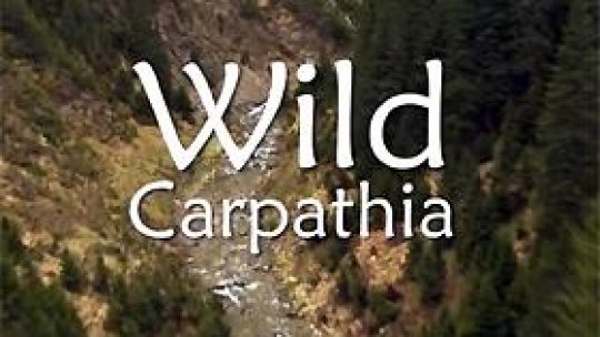 Wild Carpathia, un documentar despre România prezentat în SUA