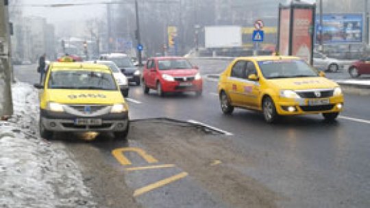 La Sibiu au apărut panseluțe în gropile de pe străzile orașului