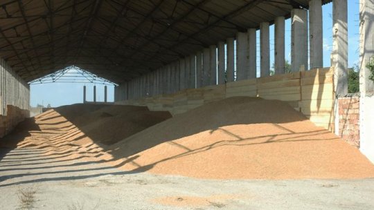 700 de tone de grâu, confiscate de poliţiştii din Arad