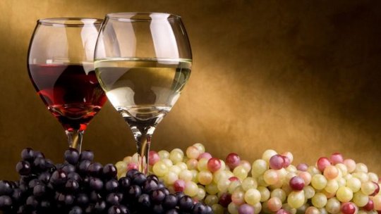 An bun pentru producţia de vin din Mehedinţi