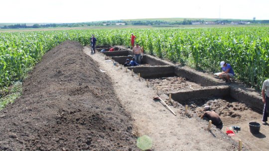 Botoşani: Descoperire unicat pentru arheologia românească (FOTO)