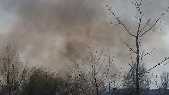 Pompierii din Argeș se confruntă aproape zilnic cu incendii de vegetație