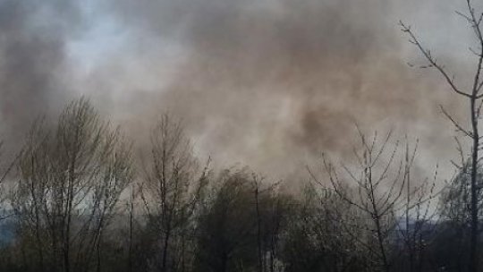 Puternic incendiu de vegetaţie se manifestă în zona oraşului Răiuţi-Vrancea