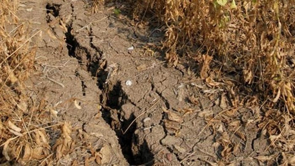 Extreme heat and drought have affected large areas across Romania