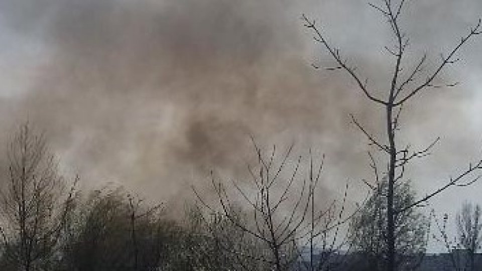 Incendiu de vegetaţie uscată în comuna Murighiol din județul Tulcea