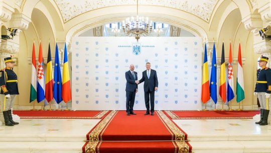 Reuniune de lucru la Palatul Cotroceni pentru stabilirea priorităţilor Uniunii Europene în următorii cinci ani