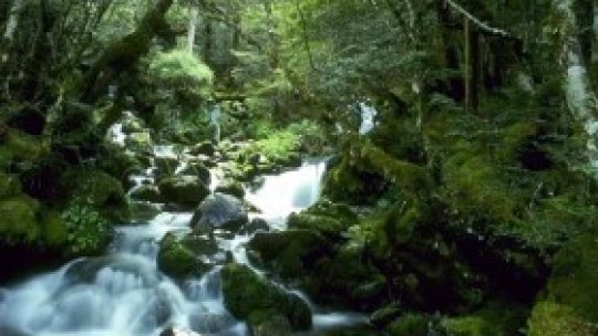 O mie de zile pentru 'Proiectul Ecologic Românesc'