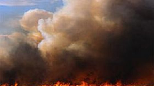 Sezon cu "risc maxim" de incendii în Australia