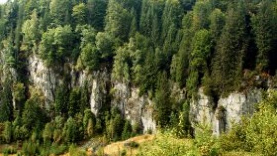 Ariile naturale protejate, la Curtea Europeană de Justiţie