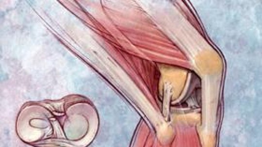 Bolile reumatice mereu în actualitate