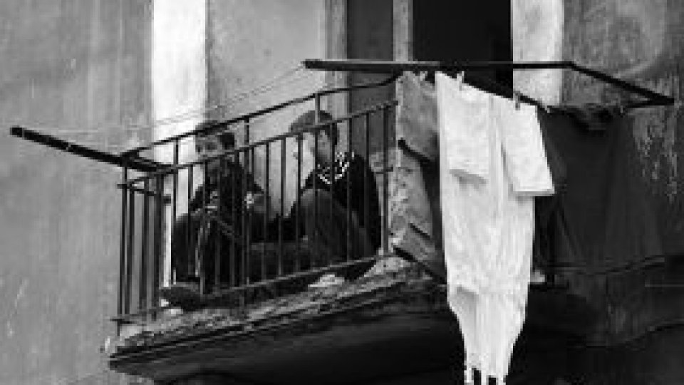 Ascultă Colţul Copiilor - Din dragoste pentru animale..