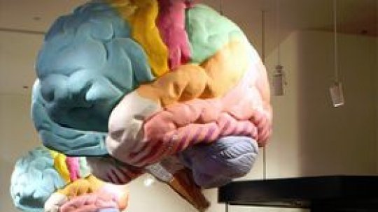 Cititul întăreşte conexiunile din interiorul creierului