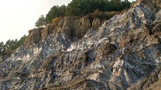 Cel mai "sărat" judeţ