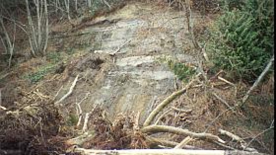 Ploile abundente provoacă victime în Sicilia