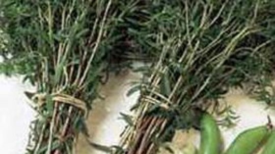 Bucătăria Înmiresmată - Cimbrul de grădină