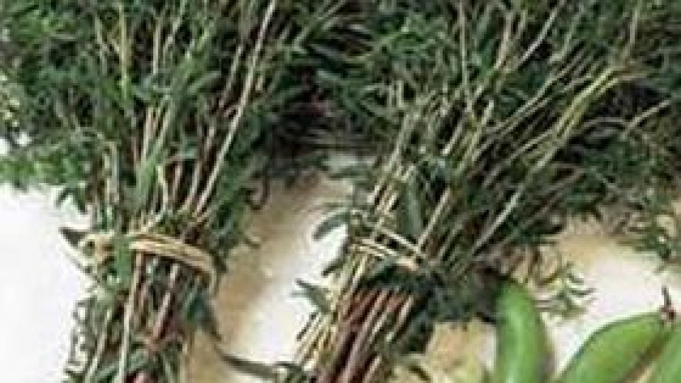 Bucătăria Înmiresmată - Cimbrul de grădină