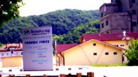 Principalul poluator din Baia Mare, eliminat