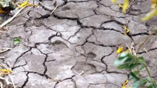 Seceta modifică și proverbele