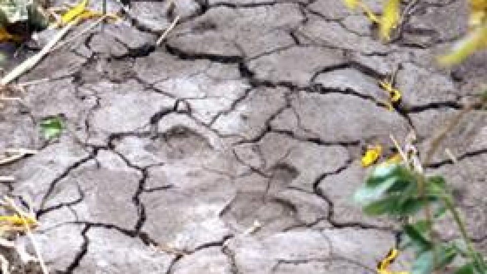 Seceta modifică și proverbele