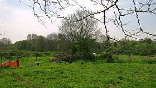 Azi începe la Roma procesul cazului Caffarella