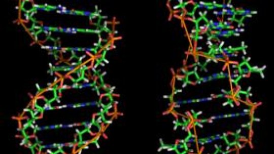 "Harta" ribozomilor, recompensată cu Premiul Nobel