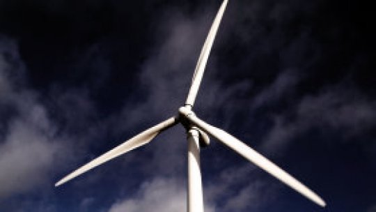 Ecologiştii vs parcurile eoliene