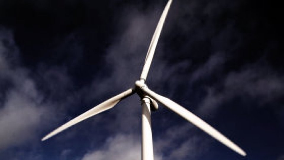 Ecologiştii vs parcurile eoliene