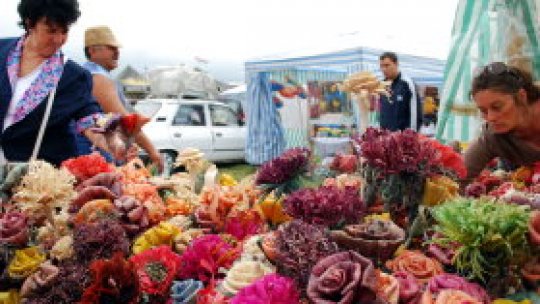 Toamnă bogată în Bistriţa