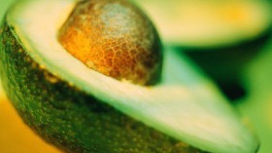 Leacul din natură: avocado