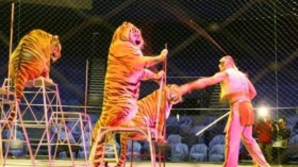 Interzis cu animale sălbatice la circ