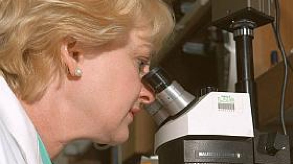 Ziua mondială de luptă împotriva diabetului