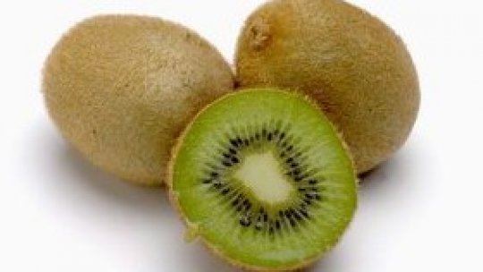 Leacul din natură: kiwi