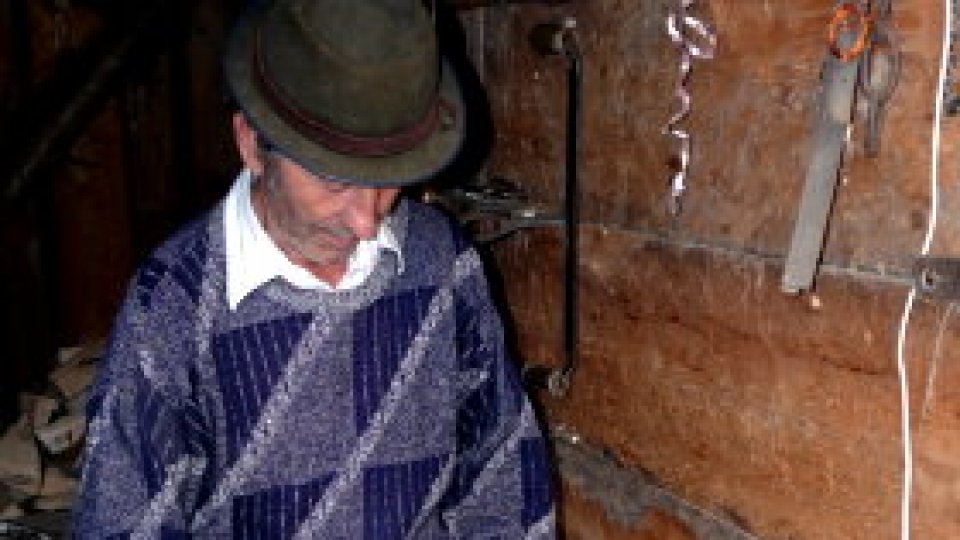 Face vara sanie şi iarna...greble