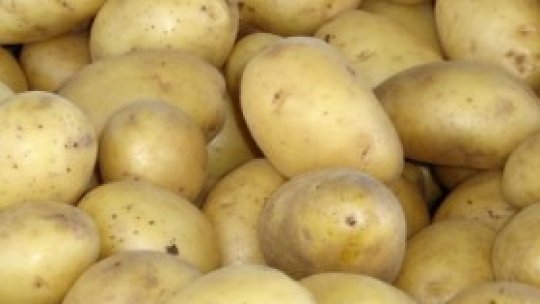 Leacul din natură: cartoful