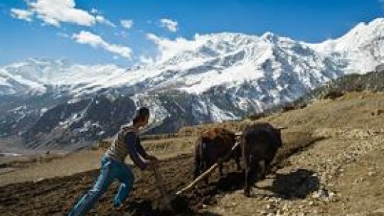 Povestiri din Himalaya