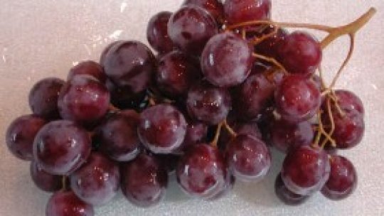 Leacul din natură: strugure