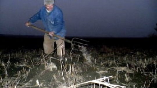 Terenuri agricole lăsate de izbelişte