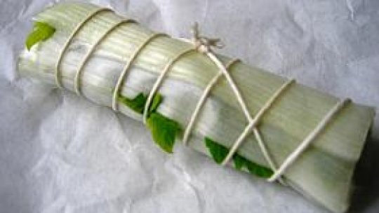 Bouquet Garni şi Herbes de Provence