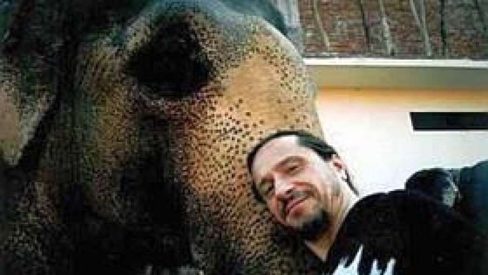 Amadeus - simfonia bucuriei severinene