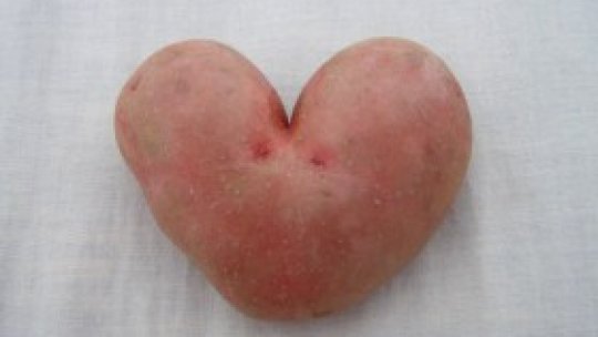 Săptămâna cartofului donat