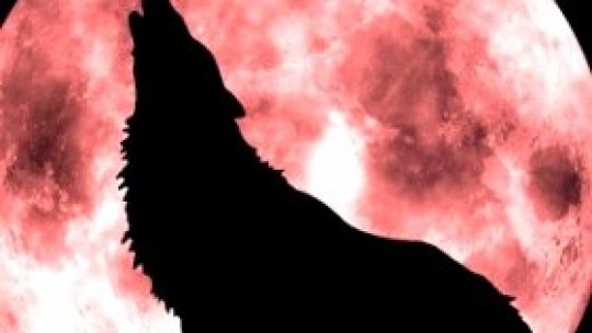 Indreiu şi Vâlva Lupilor