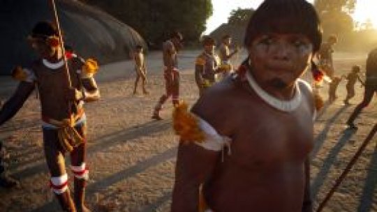 Trib amazonian, afectat de gripa porcină